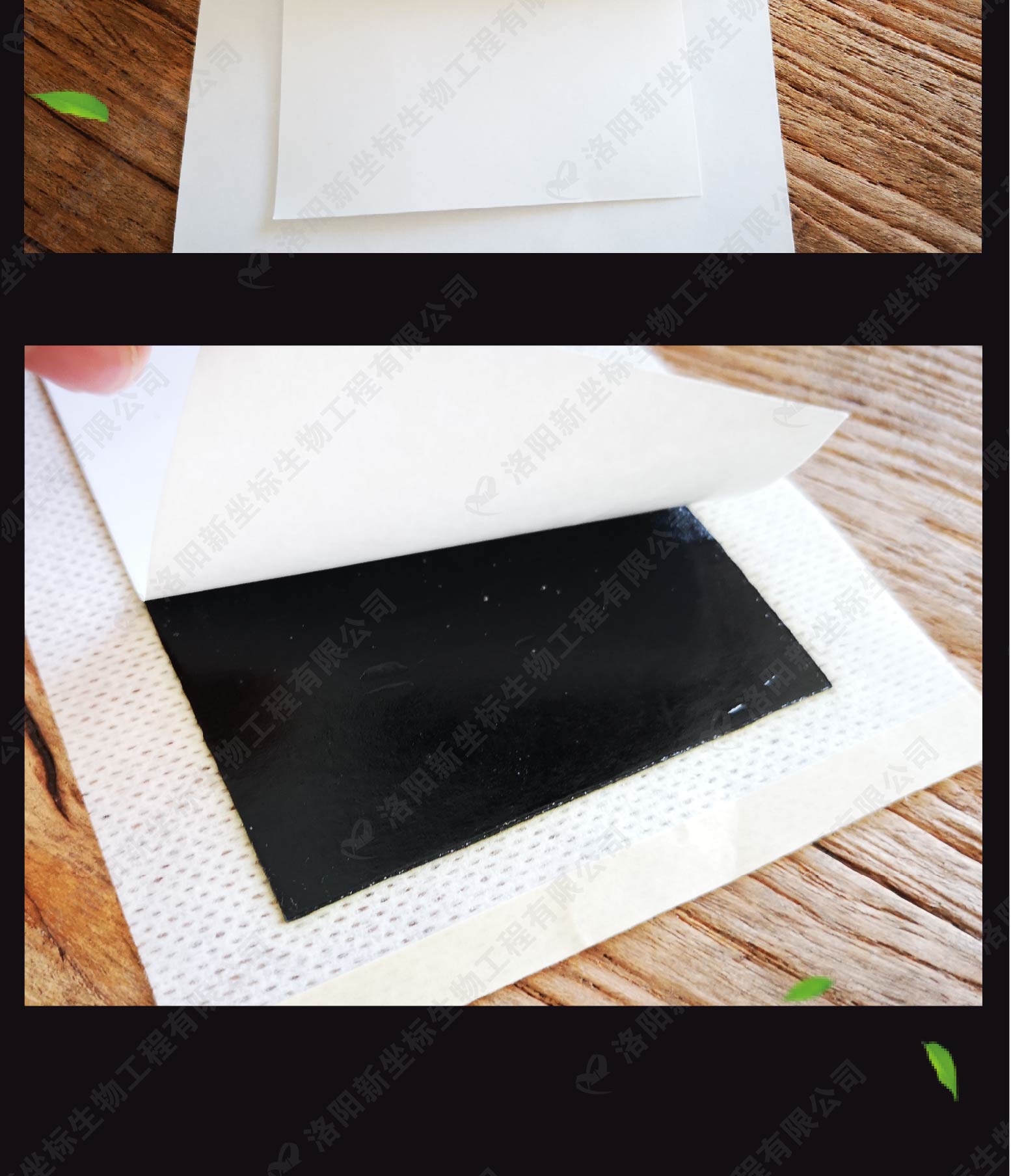 膏藥產品展示 膏藥產品展示